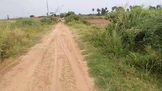  Agricultural Land for Sale in Walajabad, Kanchipuram