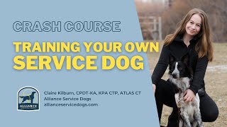 Alliance Service Dogs | Training Your Own Service Dog in Ontario
