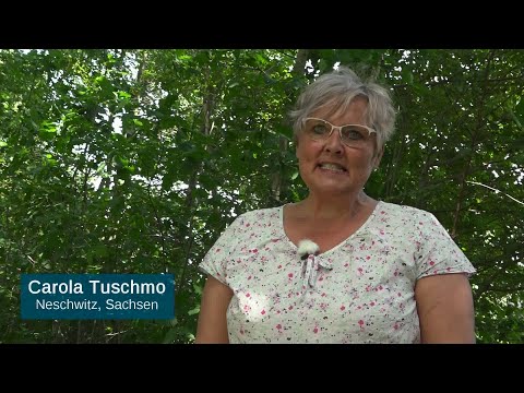 Wölfe ohne Grenzen - Klartext Carola Tuschmo