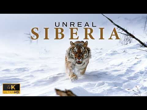 UNREAL SIBERIA - Russia's Most Brutal Wilderness!