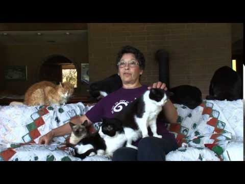 Global Photo Assoc. (USA) Inc. Visit to the Cat House on the Kings