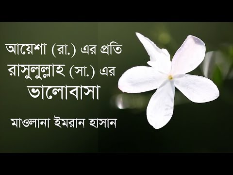আয়েশা রা. এর প্রতি রাসুলুল্লাহ সা.  এর ভালোবাসা :: মাওলানা ইমরান হাসান [[গল্প শুনি শিক্ষা নিই]]