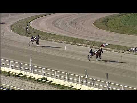 Napoli Trotto 03/02/2023 - prova di qualifica