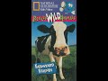 Really Wild Animals Farmyard Friends Full 1997 Warner Home Video VHS