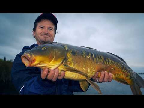 Carp, Ontario's Best Kept Secret | Fish'n Canada