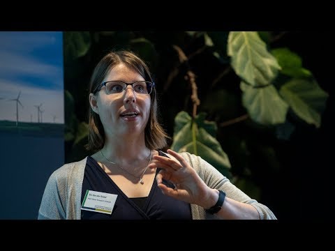 Conference Film from the 5th International Conference in Smart Energy Systems