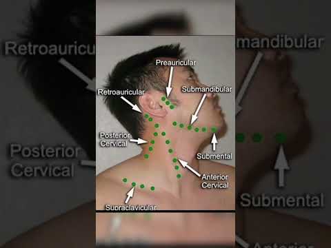 lymph nodes of neck