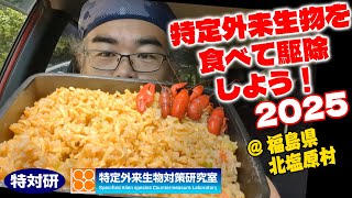 【北塩原村】特定外来生物を食べて駆除しよう！2025【ウチダザリガニ】