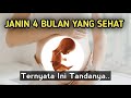 Ini Tanda Janin 4 Bulan Dalam Kondisi Yang Sehat