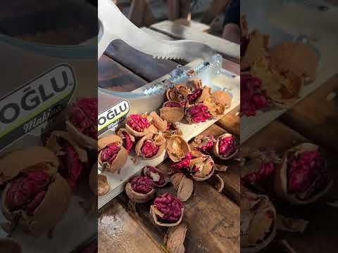 Taşkıran Kırma Aleti İle Kırmızı Ceviz Kırma