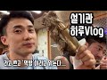유지어터의 하루 - 설기관 브이로그 Vlog 먹방