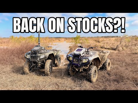 We put stocks on and hit a DIG!