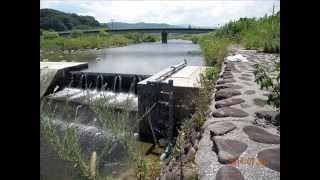 preview picture of video 'Vertical Type Fishway at Fukano Weir in the Kii River 2014, Fukuoka Pref., Japan'