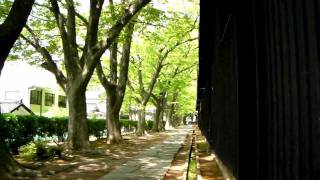 preview picture of video 'Visit Sakata - Yamagata （山形県酒田市）【HD】'