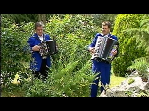 FISARMONICA | "SPERANZE PERDUTE" (Valzer) Roberto Scaglioni, Ruggero Passarini @Musicainballo