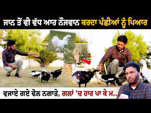 ਜਾਨ ਤੋਂ ਵੀ ਵੱਧ ਆਹ ਨੌਜਵਾਨ ਕਰਦਾ ਪੰਛੀਆਂ ਨੂੰ ਪਿਆਰ, ਰੈਣ ਬਸੇਰੇ ਲਈ ਬਣਾਇਆ ਸ਼ਾਨਦਾਰ ਪਾਰਕ