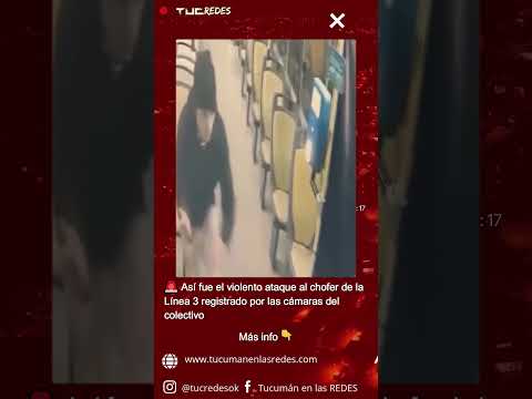 🚨 Así fue el violento ataque al chofer de la Línea 3 registrado por las cámaras del colectivo
