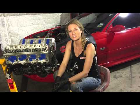 Melling oil Pump, front cover install! - In the shop with Emily EP 5