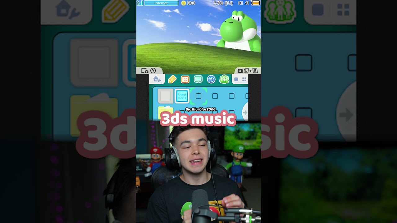 The BEST Custom 3DS Themes!