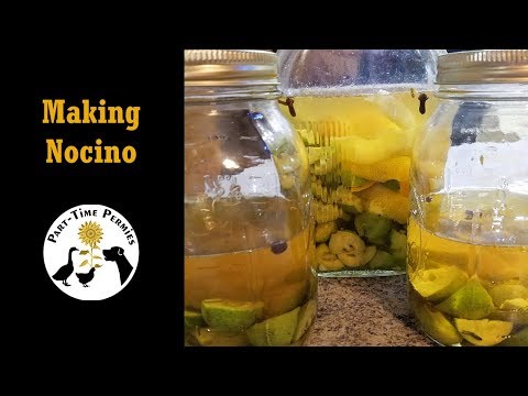 download lagu mp3 mp4 What Can I Do With Green Walnuts, download lagu What Can I Do With Green Walnuts gratis, unduh video klip What Can I Do With Green Walnuts