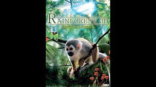 Fascination Rainforest 3D Video