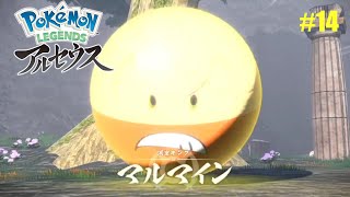 #14 マンマルオヤブンツヨスギ！［PokemonLEGENDEアルセウス]
