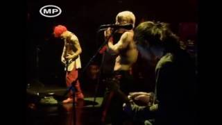 Red Hot Chili Peppers  - Sir Psycho Sexy