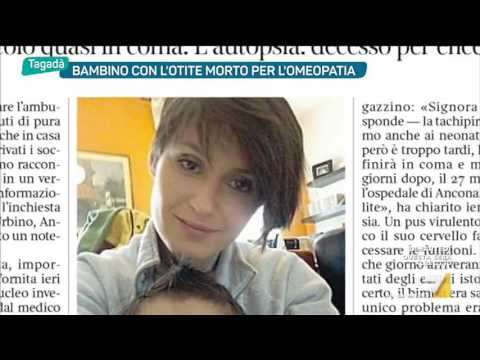 Fare prove su parassiti in Novosibirsk Razza di vermi a terrier di Yorkshire