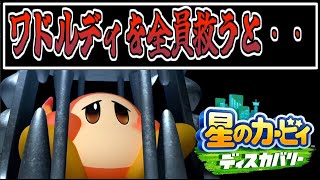 【星のカービィディスカバリー】ワドルディを全員（300匹）救い出すと・・・