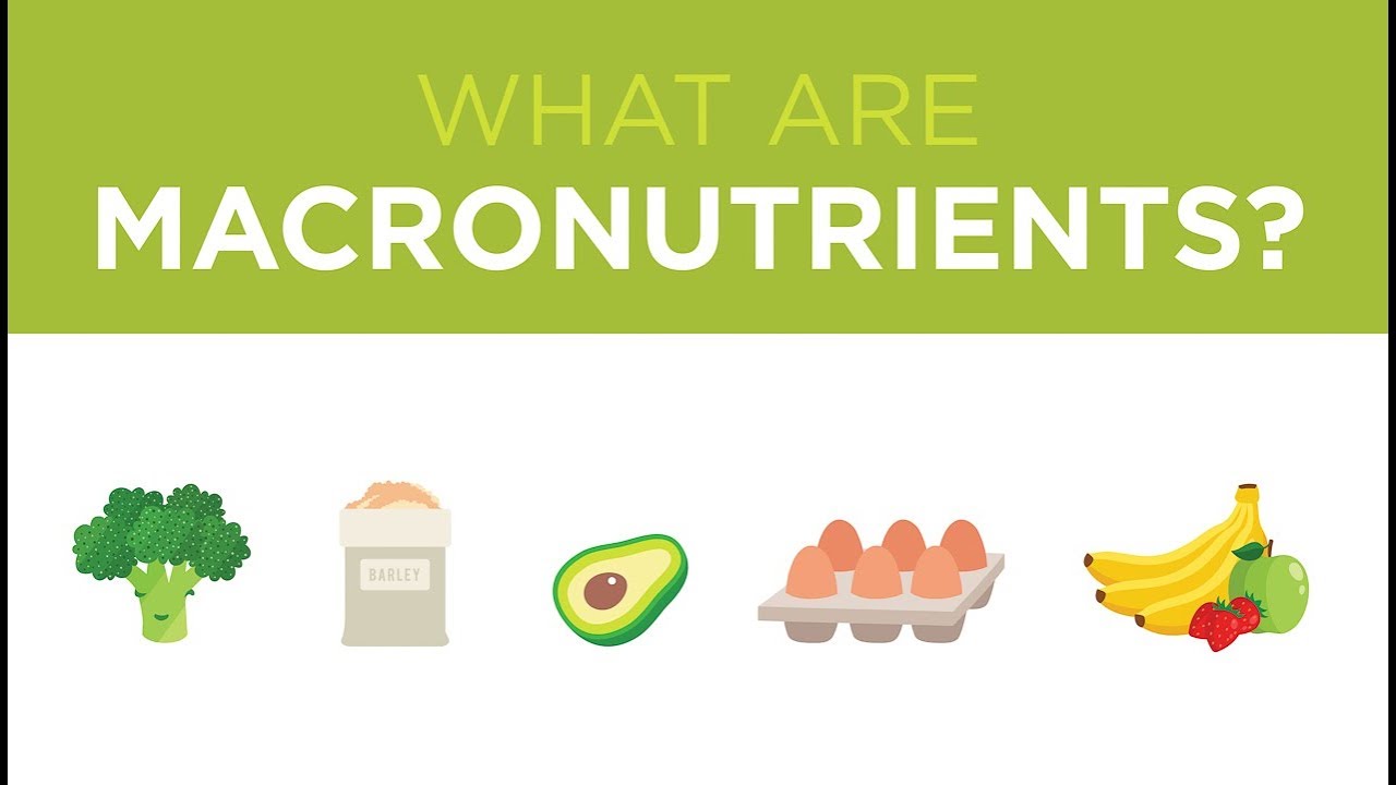 What are Macronutrients?