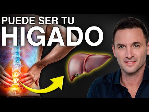 La Relación Entre Disfunción Hepática Y Los Dolores Musculares