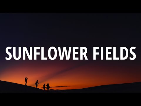 MAGIC! - Sunflower Fields (Lyrics)