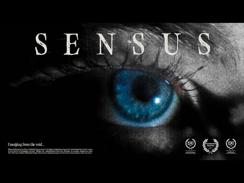The Bunch - SENSUS teaser