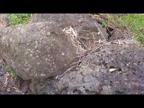 Coburg historical plaque near bluestone bridge Coburg Melbourne Australia