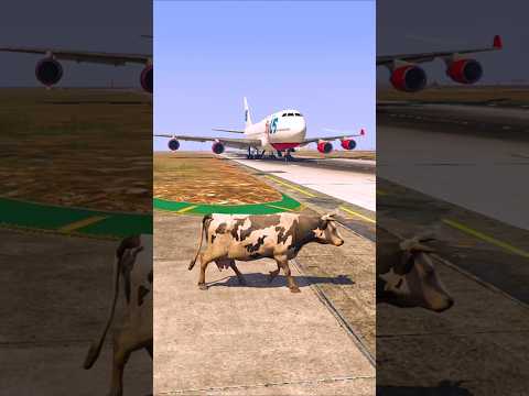 During The Landing of The Plane, A Cow Emerged | Grand Theft Auto V ||