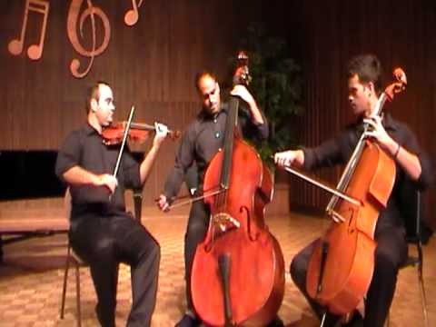 Promotional video thumbnail 4 for Fortíssimo Strings