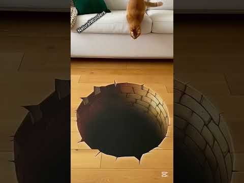 My friends, this is just for fun, these are not real cats.we do not disrespect cats or harm them