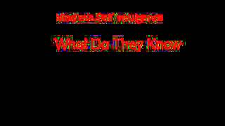 Mindless Self Indulgence What Do They Know + Lyrics