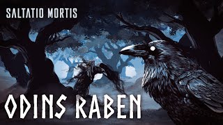 Kadr z teledysku Odins Raben tekst piosenki Saltatio Mortis