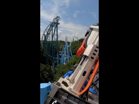 5 melhores coisas no Busch Gardens Williamsburg🎢 #shorts
