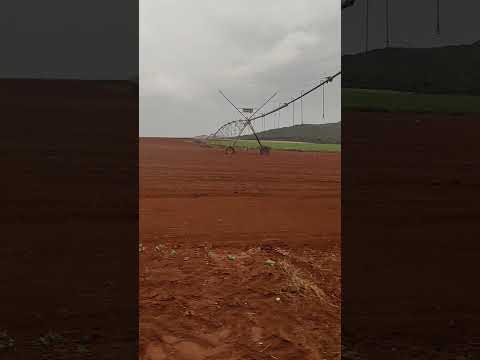 FAZENDA NOTÁVEL EM PERDIZES - 255 HECTARES