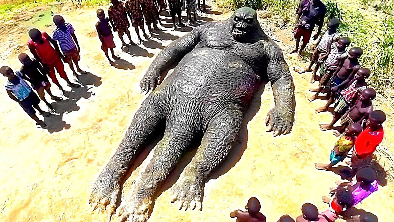 В Джунглях Конго Нашли Существо… Но Местные Сразу Поняли, Что Это Не Животно
