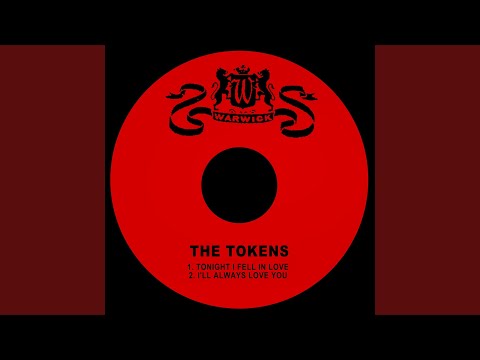 Tonight I Fell in Love