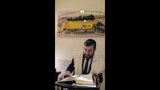 כלל ב' חלק ב' | הבנת ההיתר של באפי תלתא
