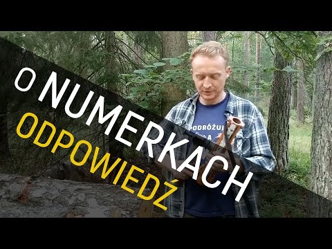 Leśne numerki - o Lesie #01 - Odpowiedź
