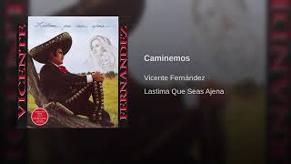 Caminemos - Vicente Fernández (Lastima Que Seas Ajena)