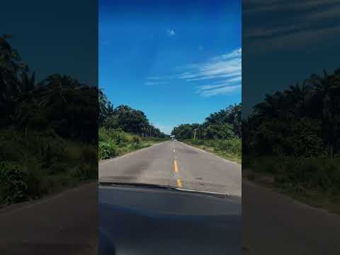 🌴 Lo ves y sabes que estás en Tela Atlántida 