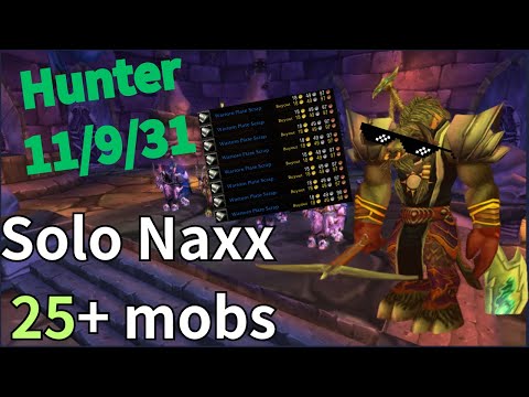 Turtle WoW - Hunter solo Naxx 25 mobs 1 pull. (100~500g/hr)