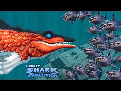 MR Snappy live contest - Most fish eaten | Hungry Shark Evolution