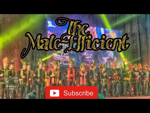 Oi Sadi - The Male-Efficient